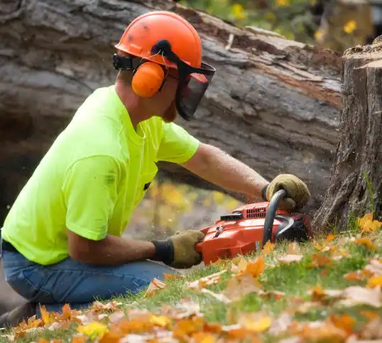 tree services Forest Home